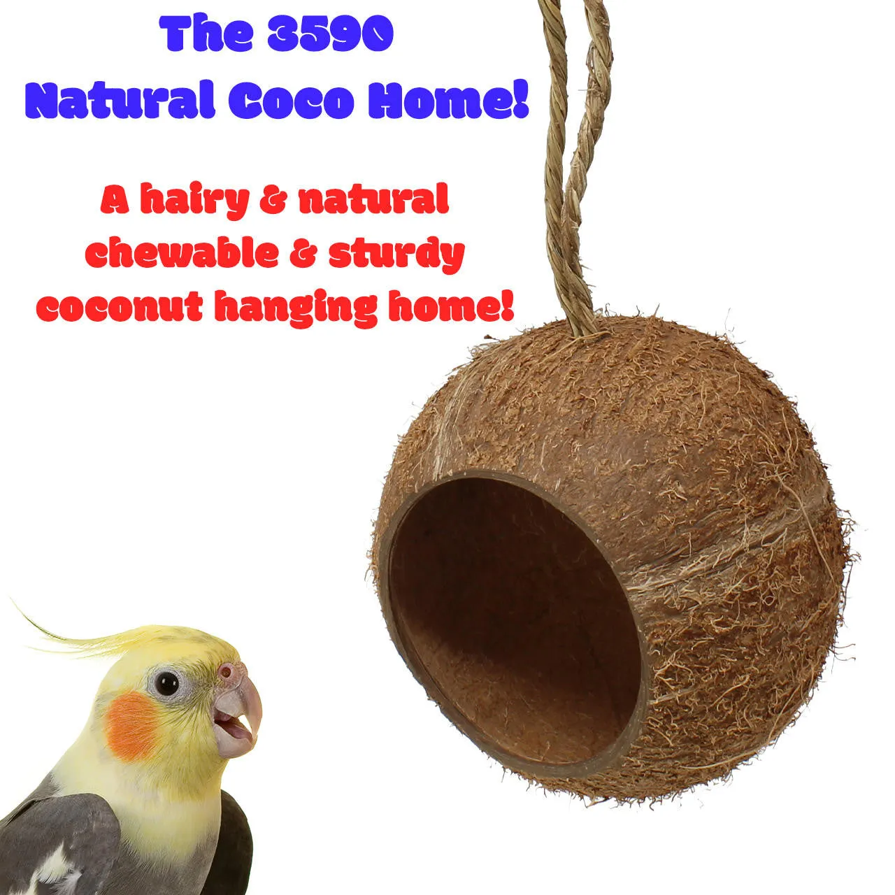 3590 Natural Coco Home