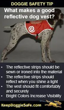 Alcott Reflective High Visibility Dog Bandana