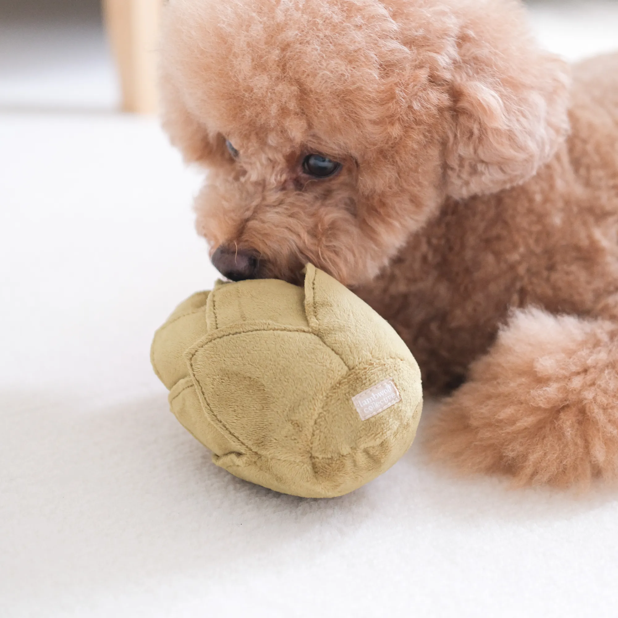 artichoke enrichment toy