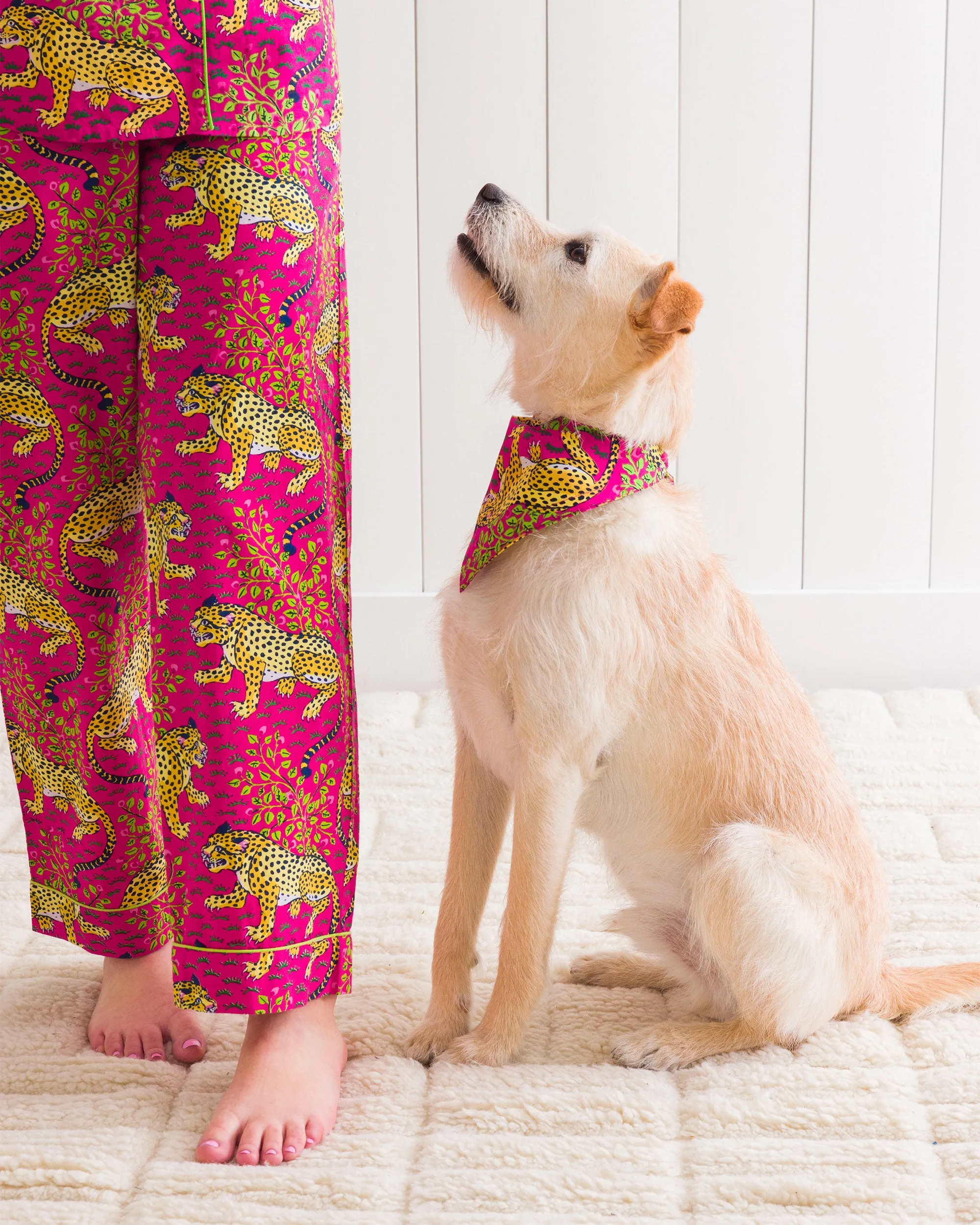 Bagheera - Pet Bandana - Hot Pink