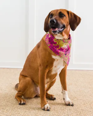 Bagheera - Pet Bandana - Hot Pink