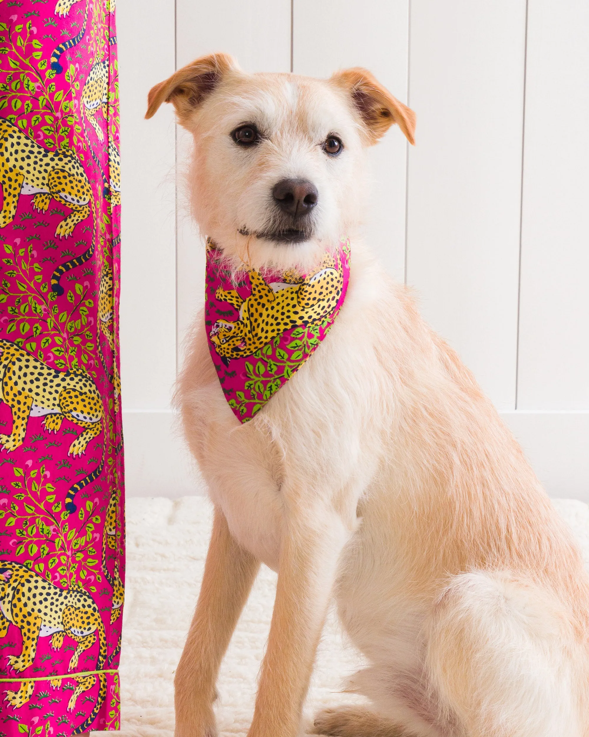 Bagheera - Pet Bandana - Hot Pink