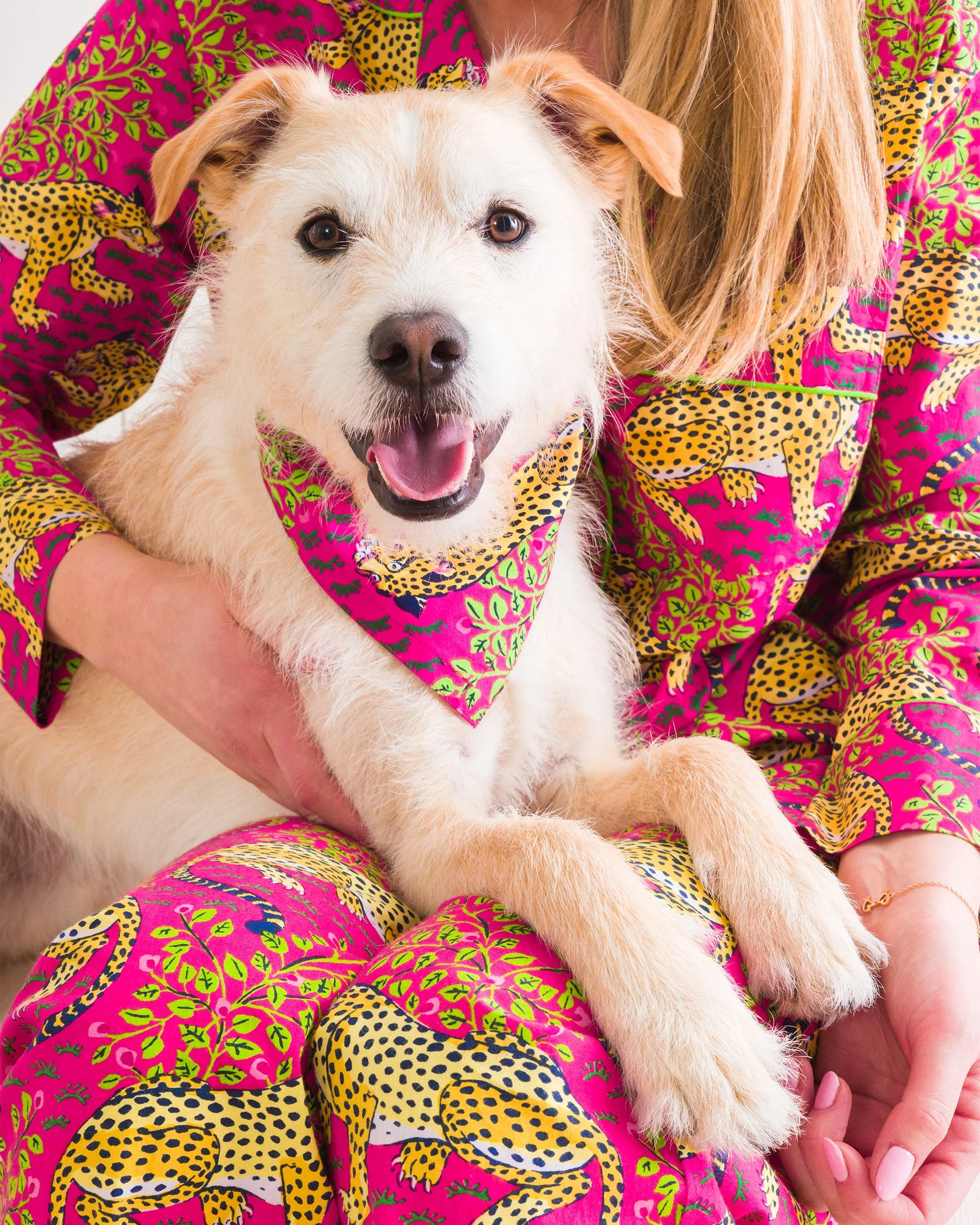 Bagheera - Pet Bandana - Hot Pink