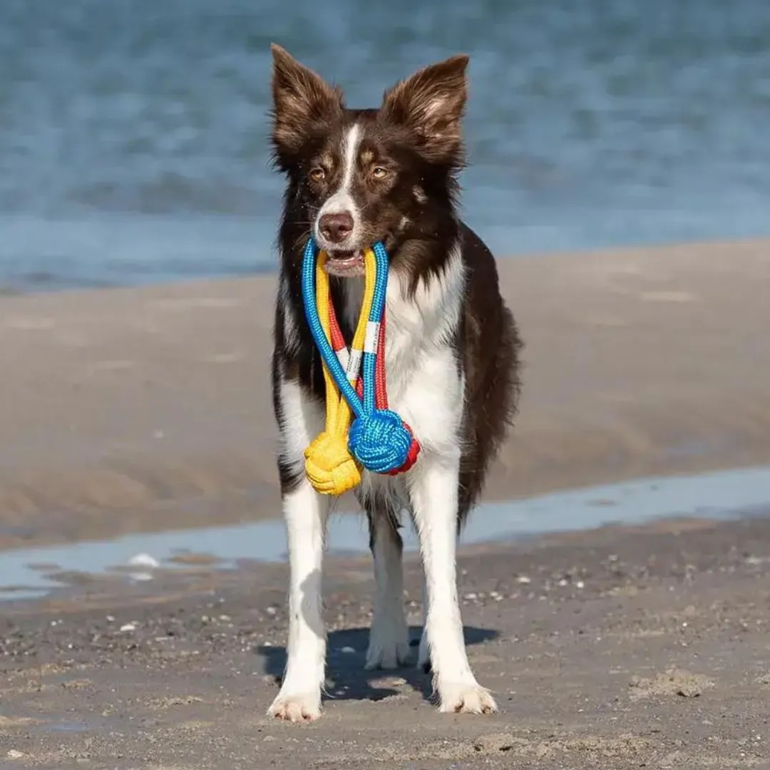 Bowl and Bone Blue Bullet Rope Dog Toy