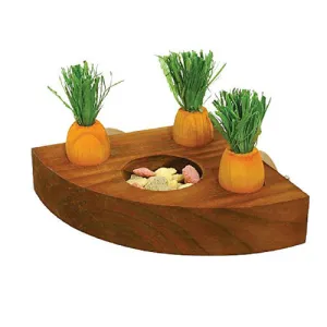 Carrot Toy 'n' Treat Holder