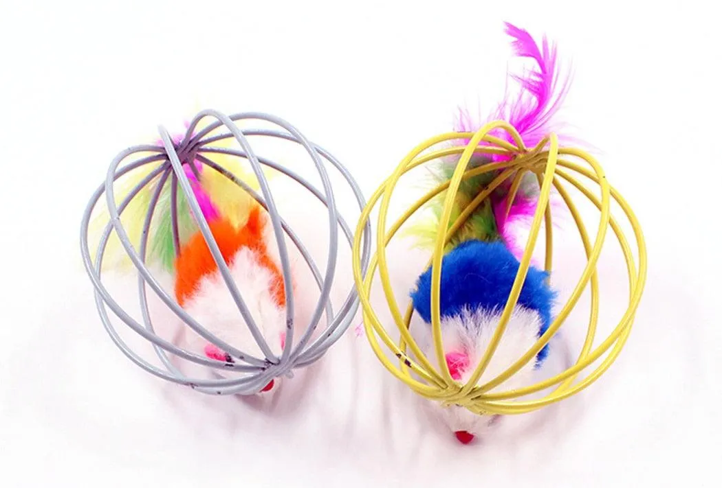 Cat Ball Toys