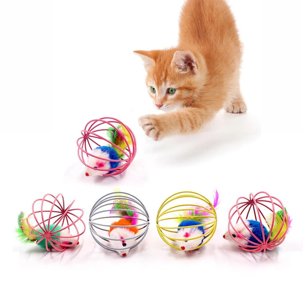 Cat Ball Toys