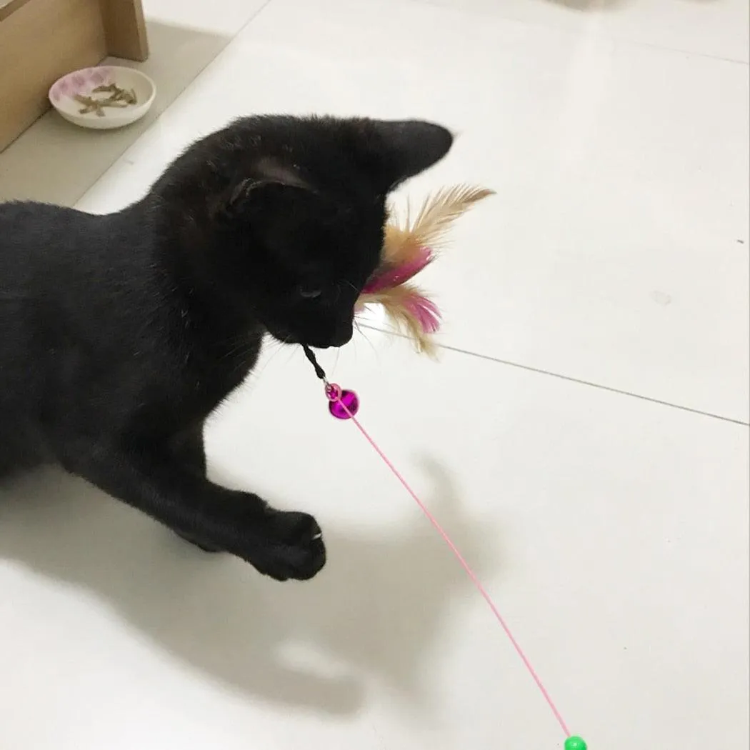 Cat Ball Toys