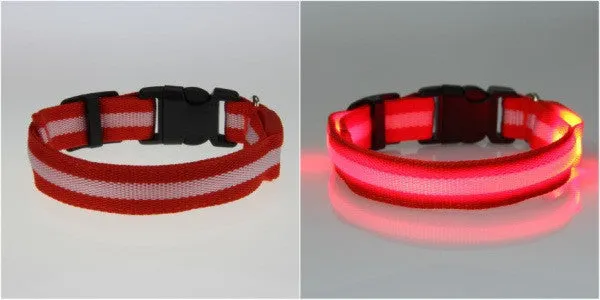 Cat Flashing Light Safety Collars