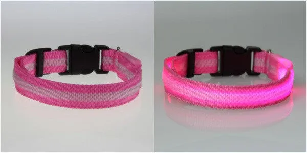 Cat Flashing Light Safety Collars