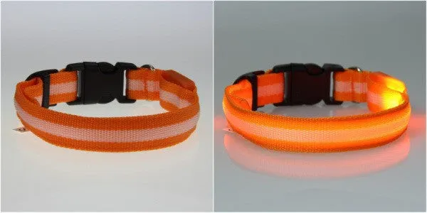 Cat Flashing Light Safety Collars