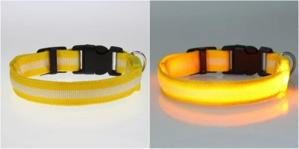 Cat Flashing Light Safety Collars