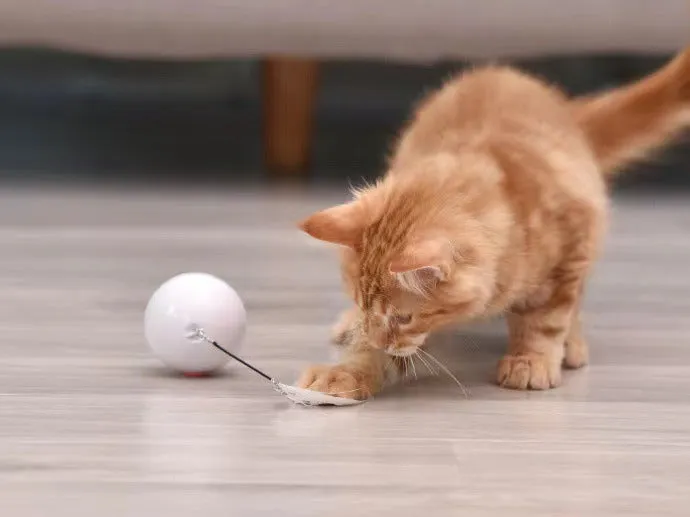 Cat USB Charging Ball