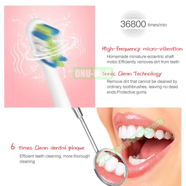 CintyB Sonic Electric Toothbrush