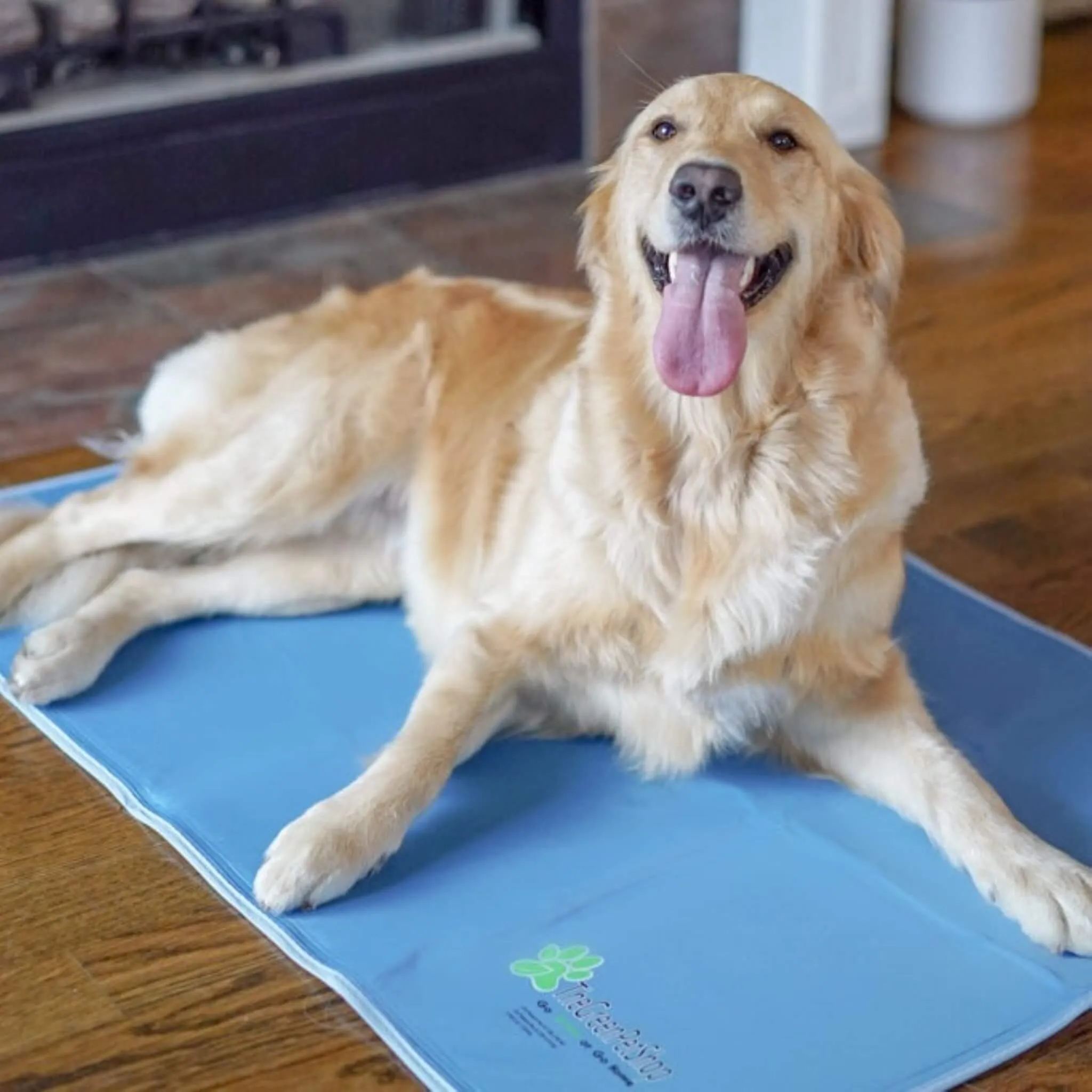 Cool Pet Pad