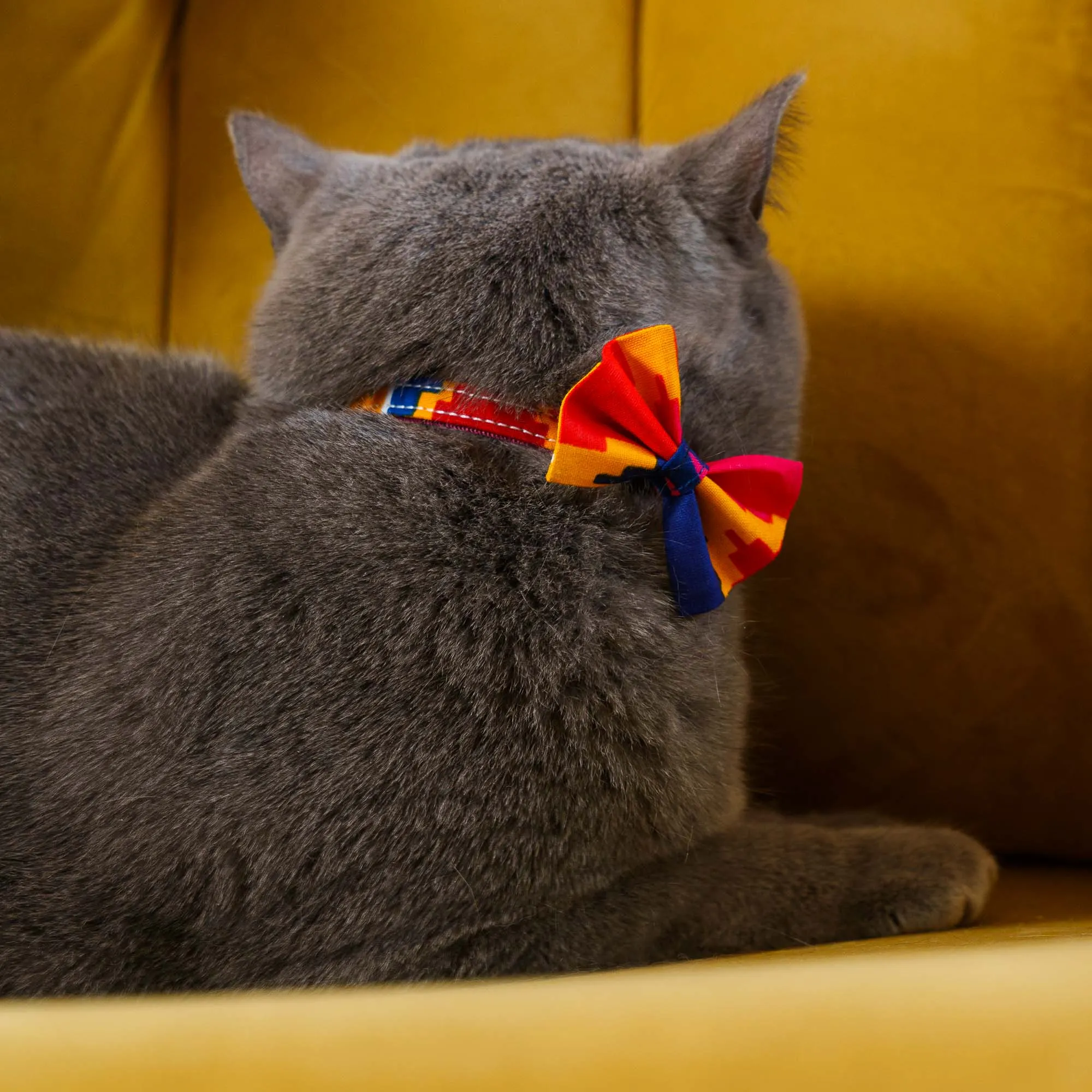 Dakar Cat Bow Tie