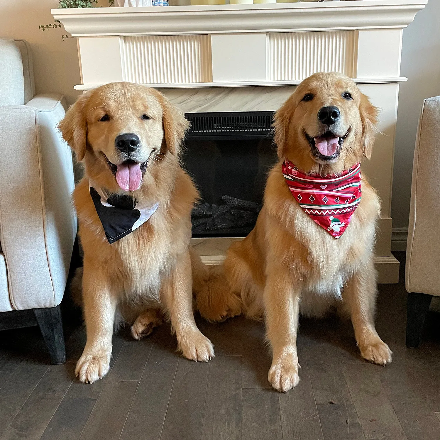 Dog Bandana - Christmas