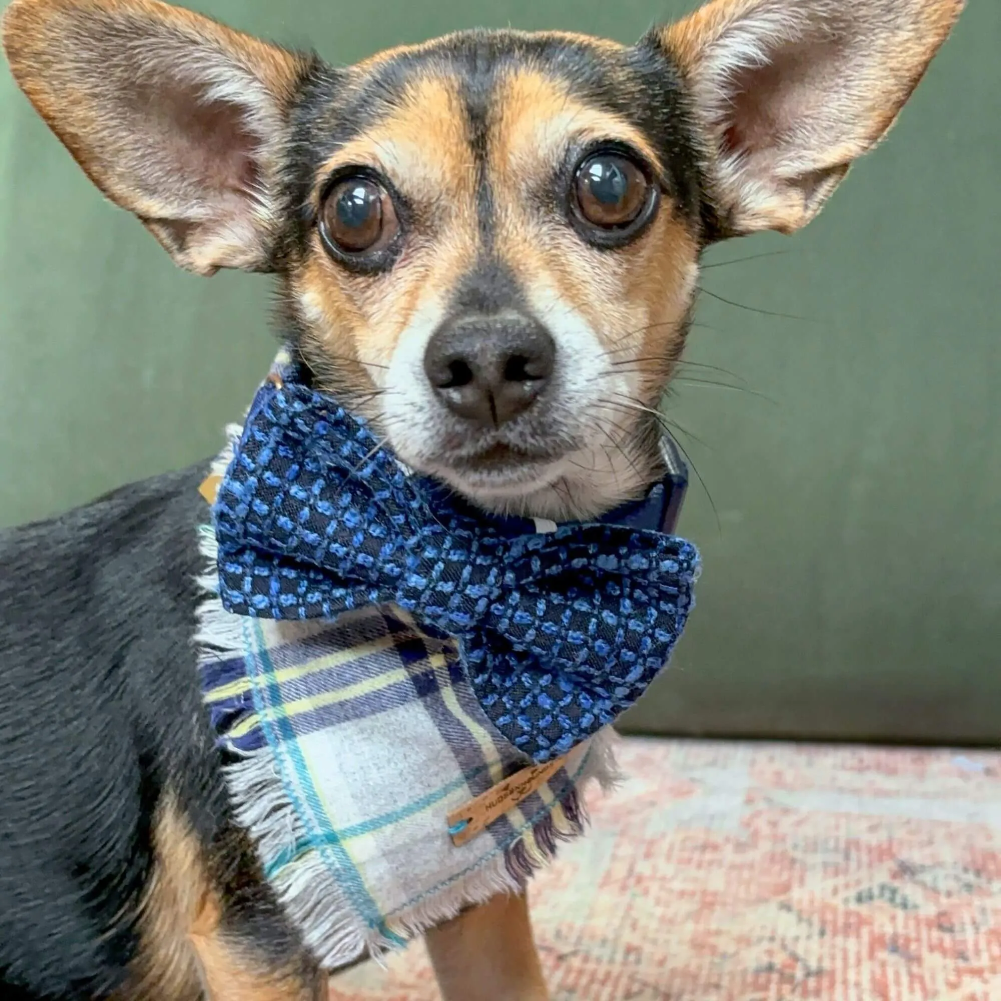 Fallen Frost Plaid Bandana