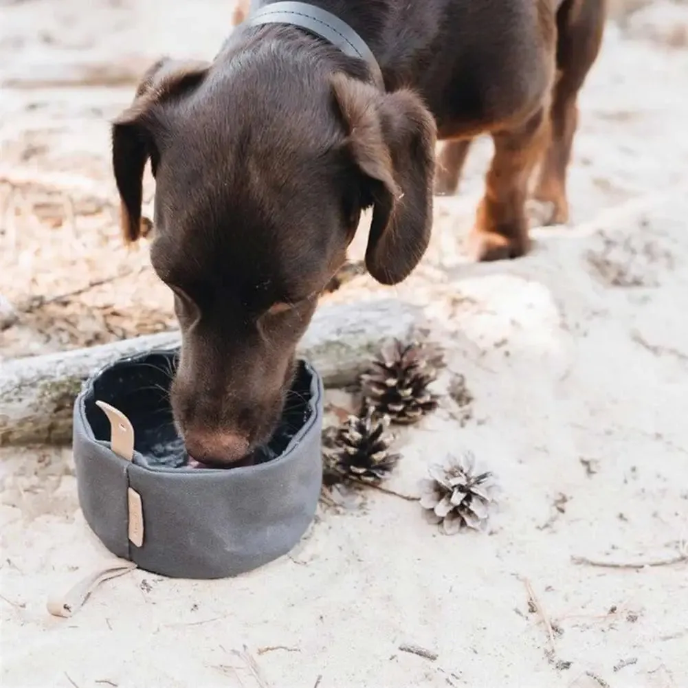 Foldable Canvas Dog Bowl for Travel - Large Capacity