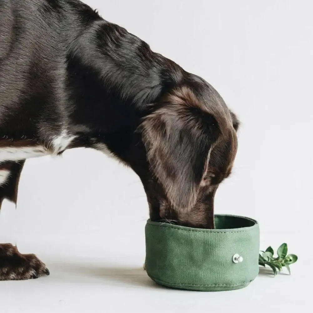 Foldable Canvas Dog Bowl for Travel - Large Capacity