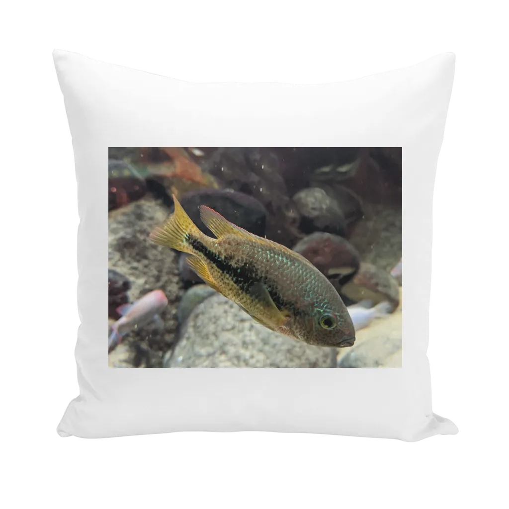 Green Orange Fish Throw Pillows