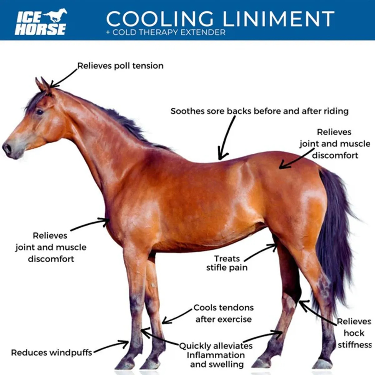 Ice Horse Cooling Liniment and Cold Therapy Extender