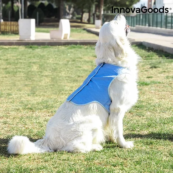 InnovaGoods Refreshing Pet Vest for Large Pets - L