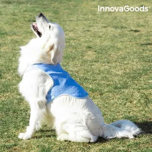 InnovaGoods Refreshing Pet Vest for Large Pets - L