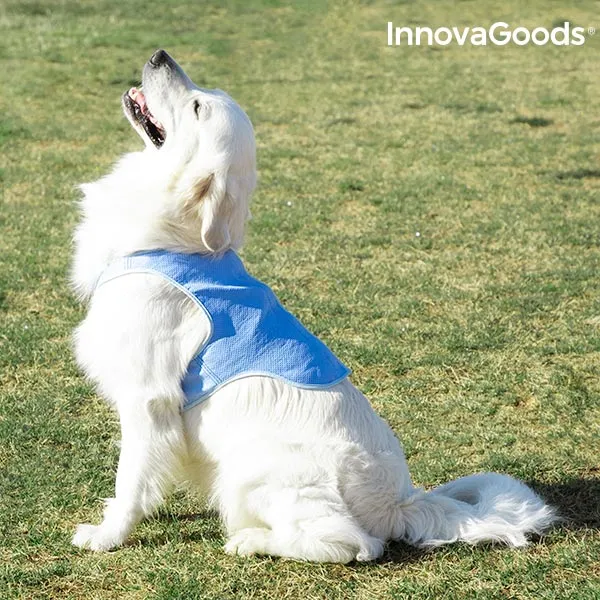 InnovaGoods Refreshing Pet Vest for Large Pets - L