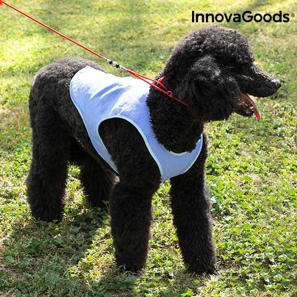 InnovaGoods Refreshing Pet Vest for Medium Pets - M