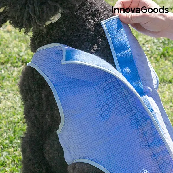 InnovaGoods Refreshing Pet Vest for Medium Pets - M