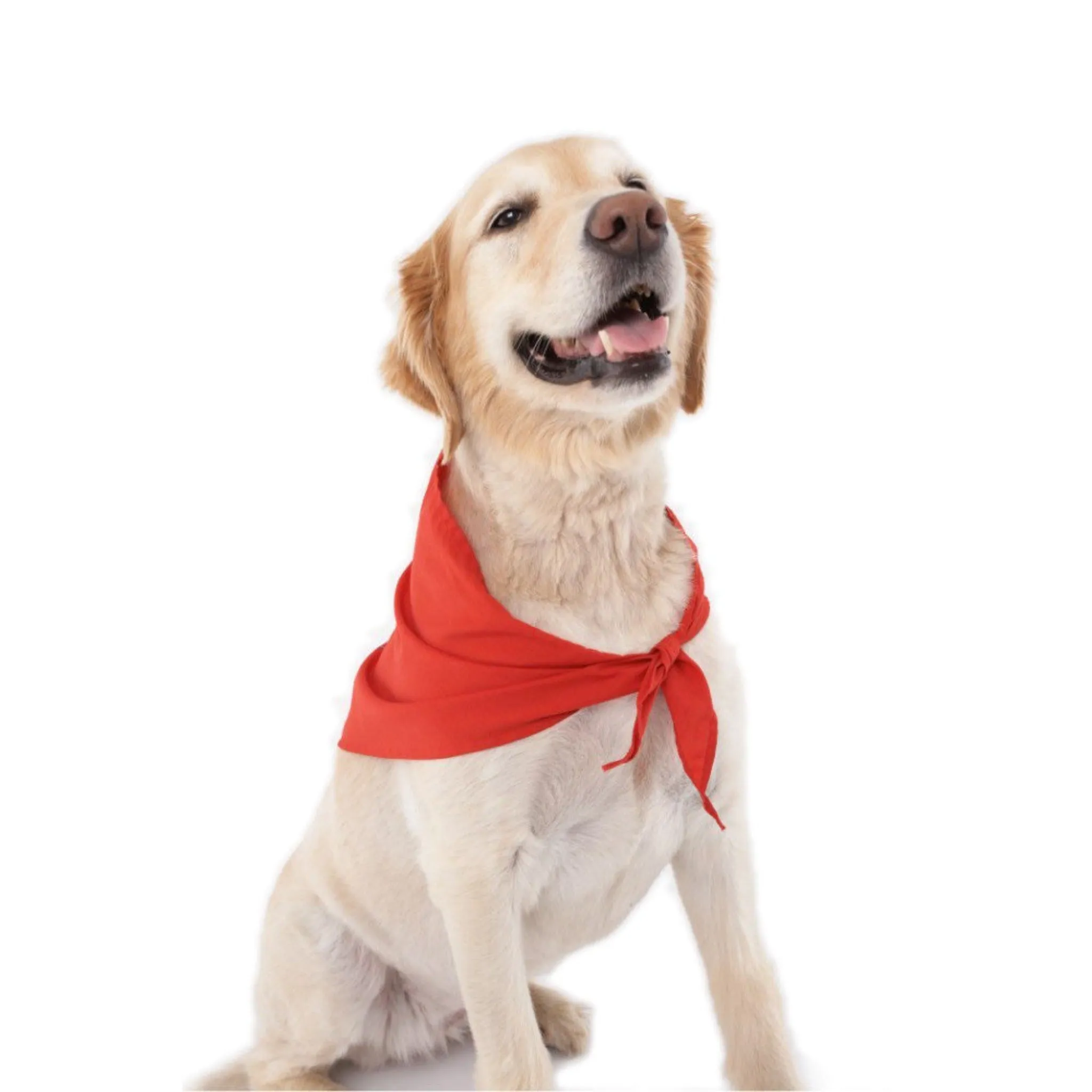 Insect Shield Repellent Dog Bandana