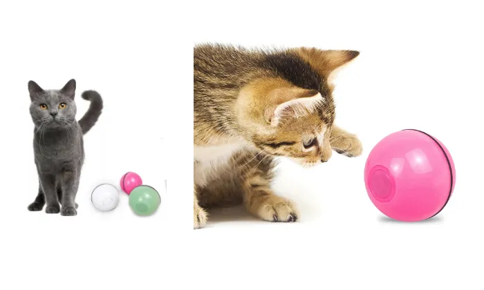 Interactive Cat Toys