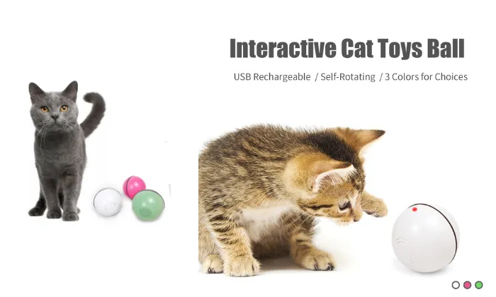 Interactive Cat Toys