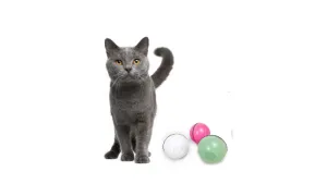 Interactive Cat Toys