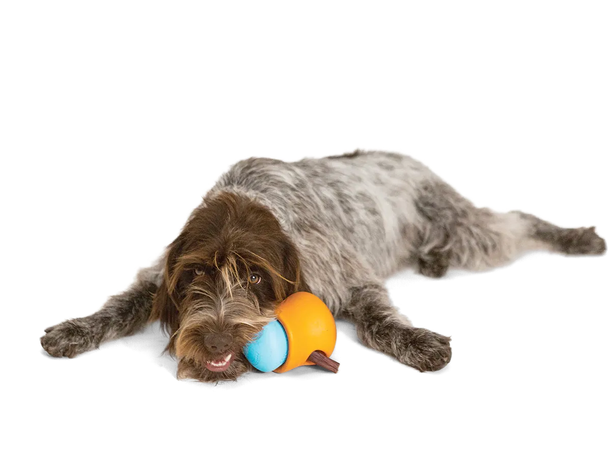 Interactive puzzle, food-dispensing dog toy, Zogoflex Toppl