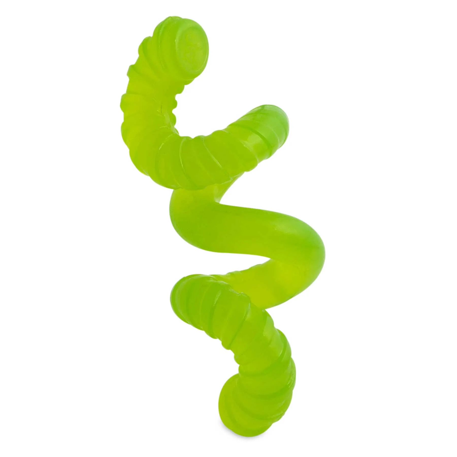 JW Gumm-EE Worm Dog Toy