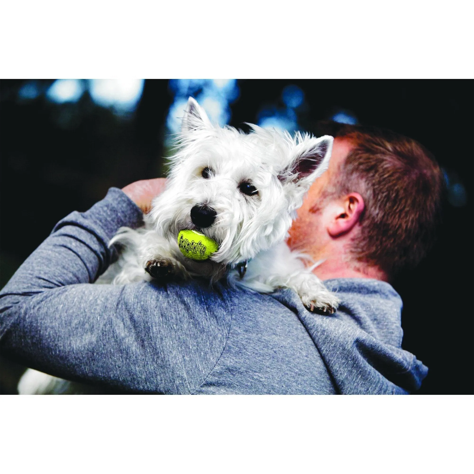 KONG Airdog Squeaker Balls Extra Small Dog Toy 3 Pack