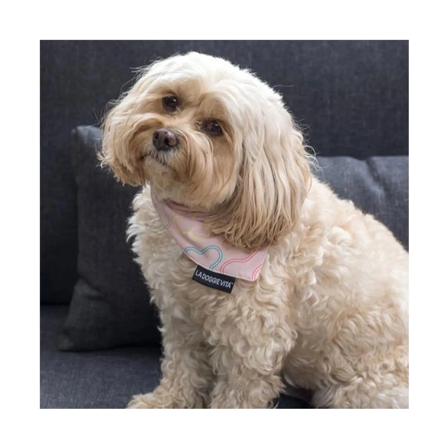 La Doggie Vita Neon Bone Pink Bandana