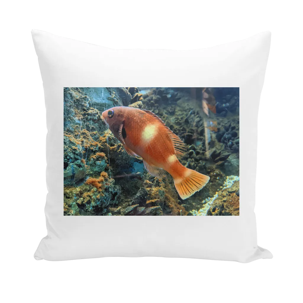 OrangeFishScene Throw Pillows