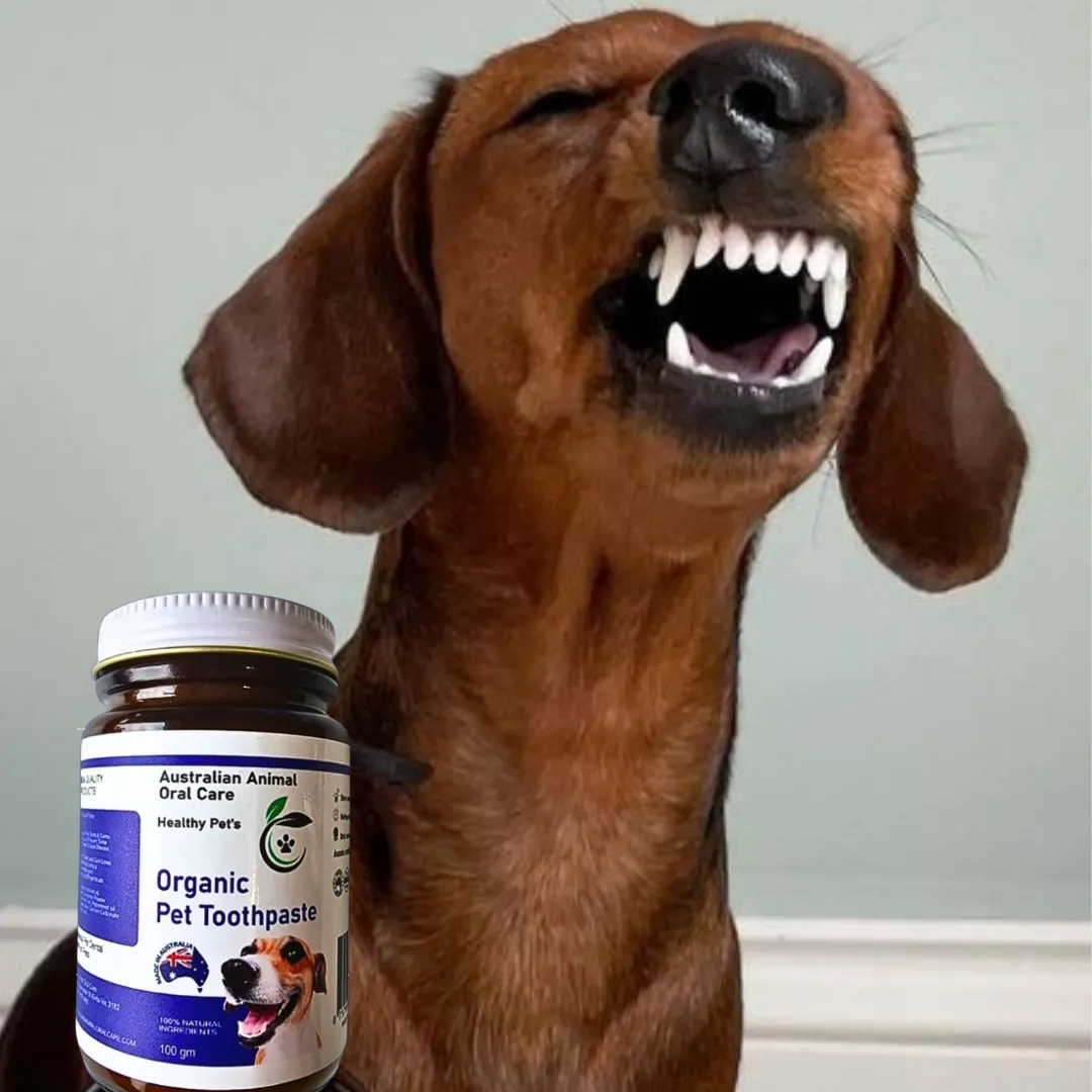 Organic Pet Toothpaste