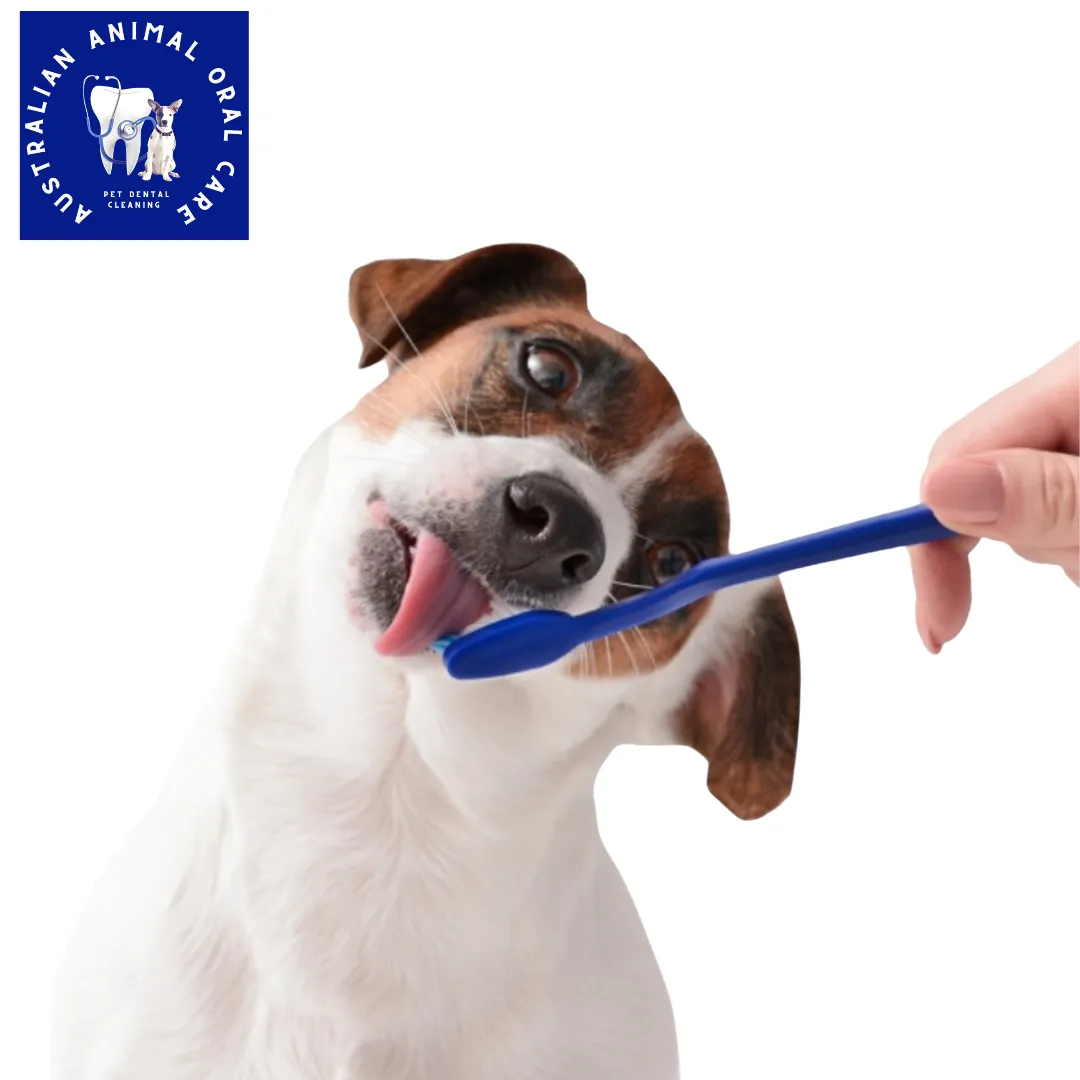 Organic Pet Toothpaste