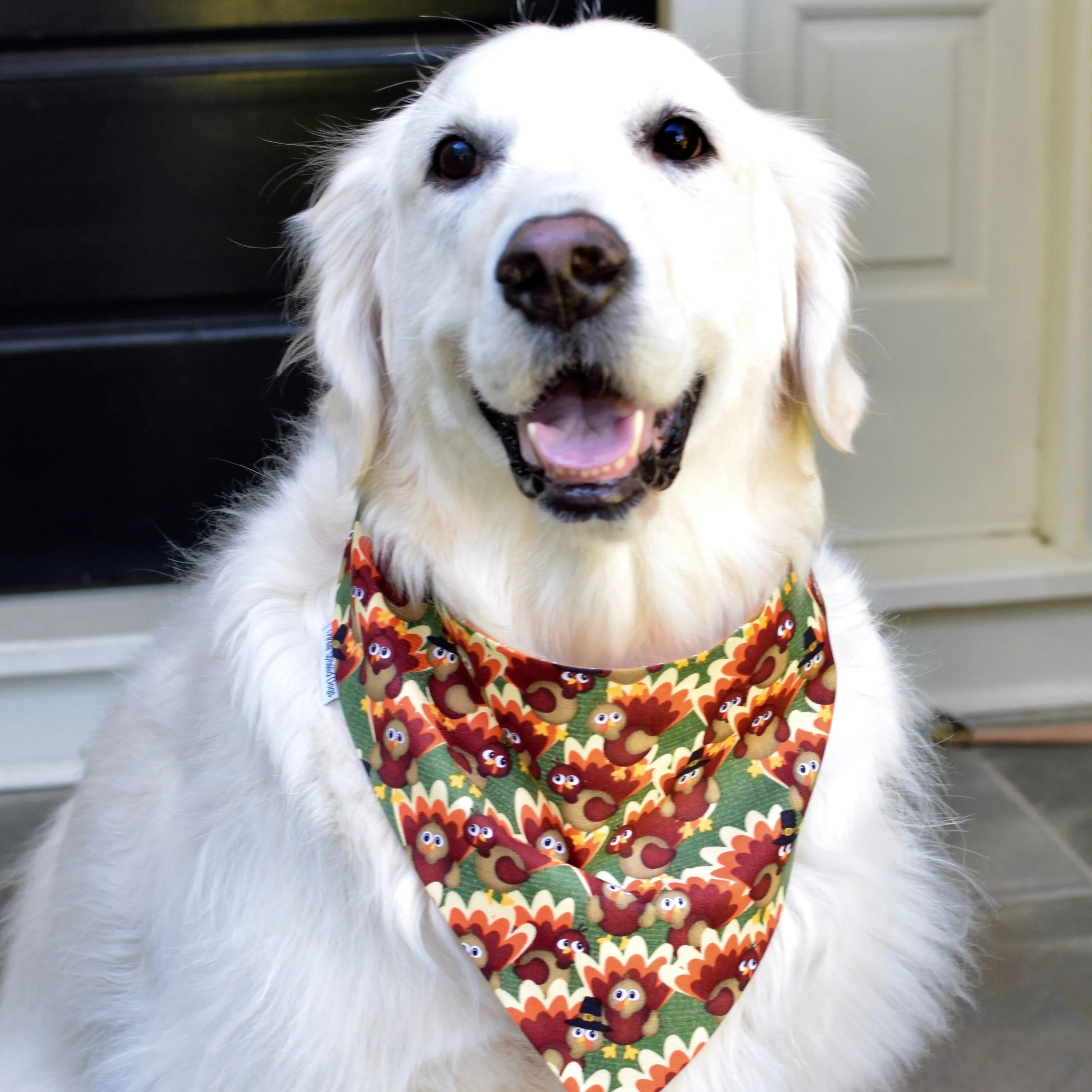 Personalized Thanksgiving Bandanas Handmade