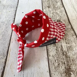 Red Polka Dot Gingham Dog Bandana