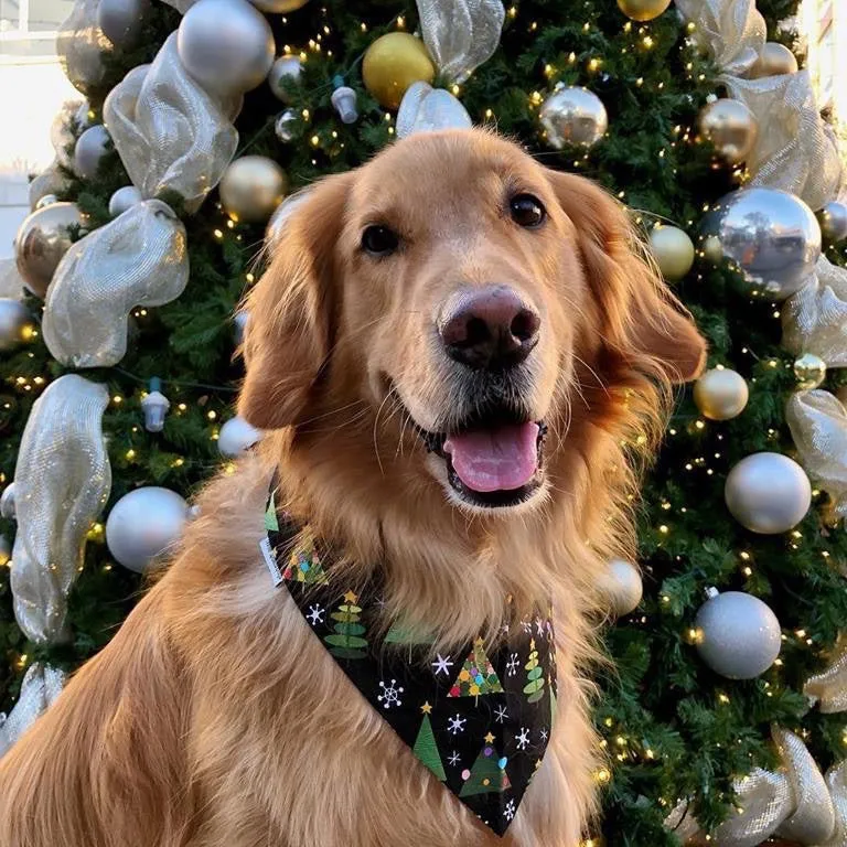 Santa Claus, Reindeer, Christmas Trees & Llama Dog Bandanas