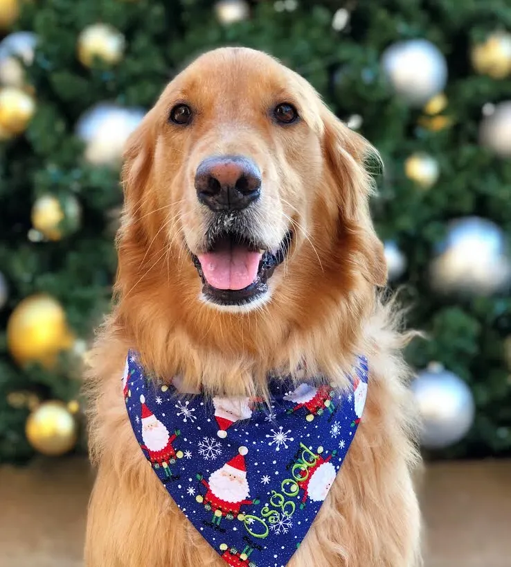 Santa Claus, Reindeer, Christmas Trees & Llama Dog Bandanas