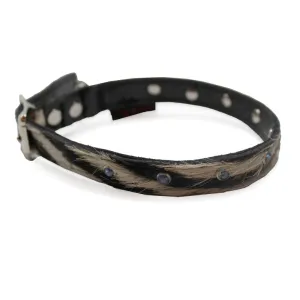 Small Pet Collar