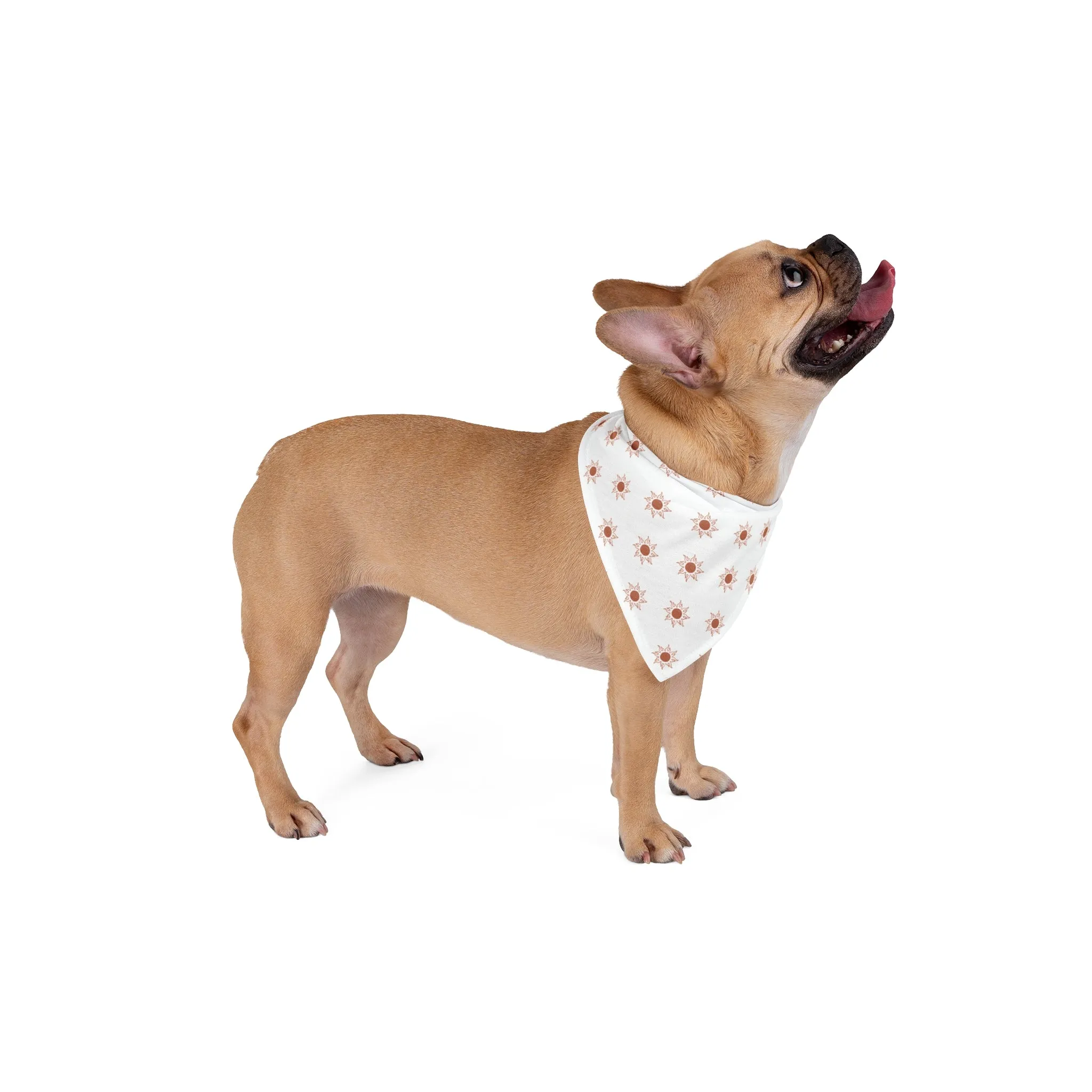 Sunburst Pet Bandana