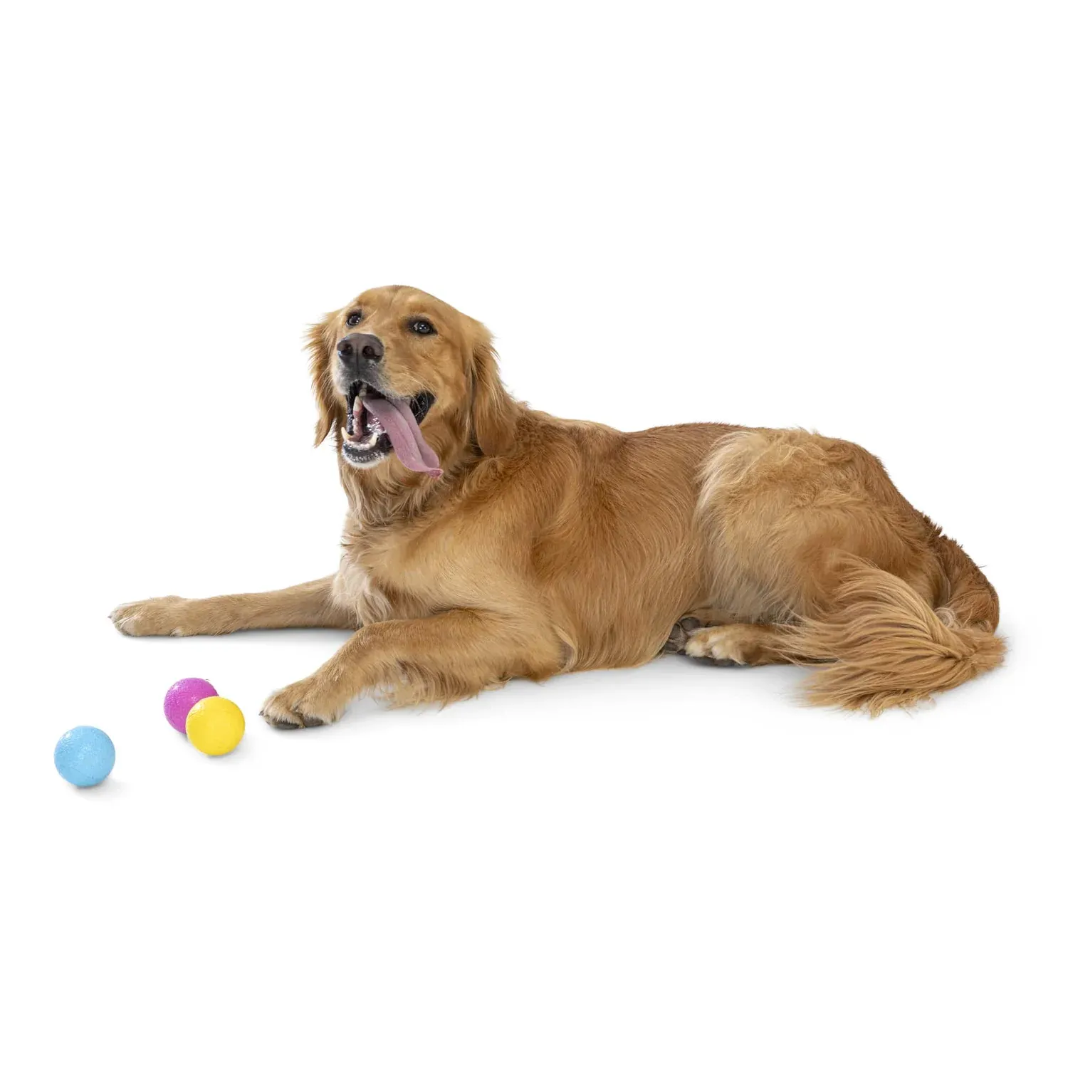 Toss and Fetch Dog toy, Zogoflex Boundr (pack of TWO)