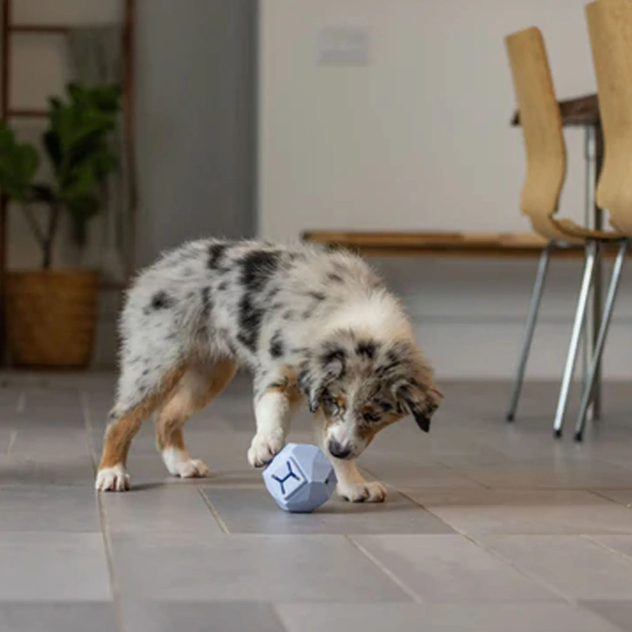 Up Dog Toys The Odin Powder Blue Dog Toy - One Size